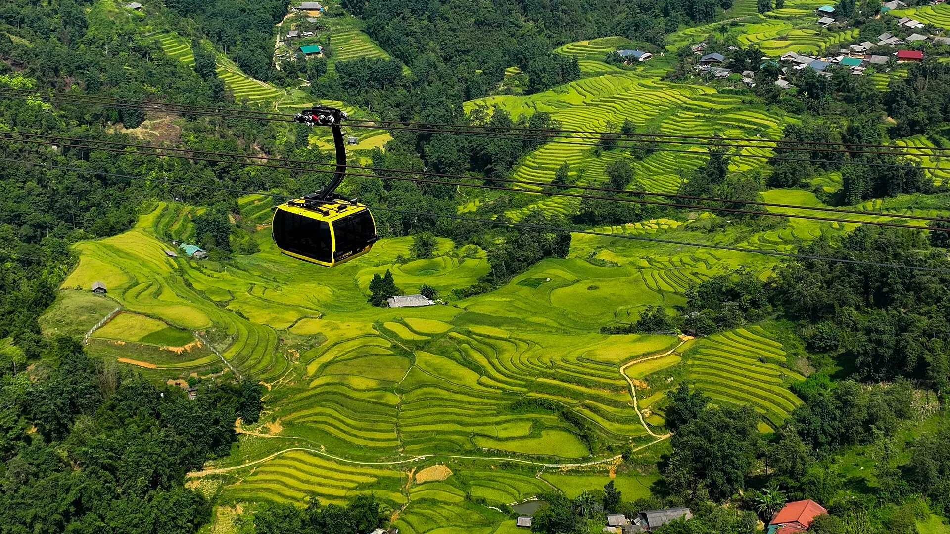 Rice terraces in the Vietnamese countryside